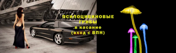 ГАЛЛЮЦИНОГЕННЫЕ ГРИБЫ Магас