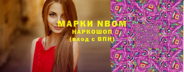 индика Майский