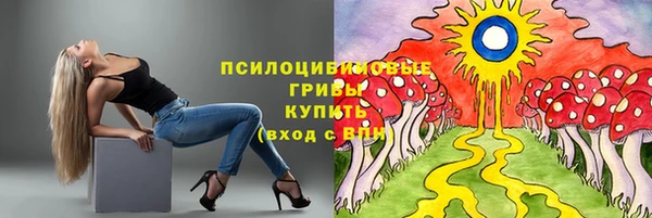 ПСИЛОЦИБИНОВЫЕ ГРИБЫ Лиски