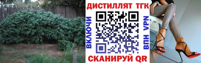 ТГК гашишное масло  даркнет сайт  Камешково 