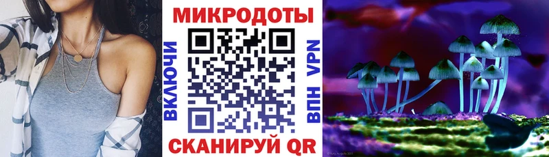 Галлюциногенные грибы мицелий  даркнет состав  Камешково 